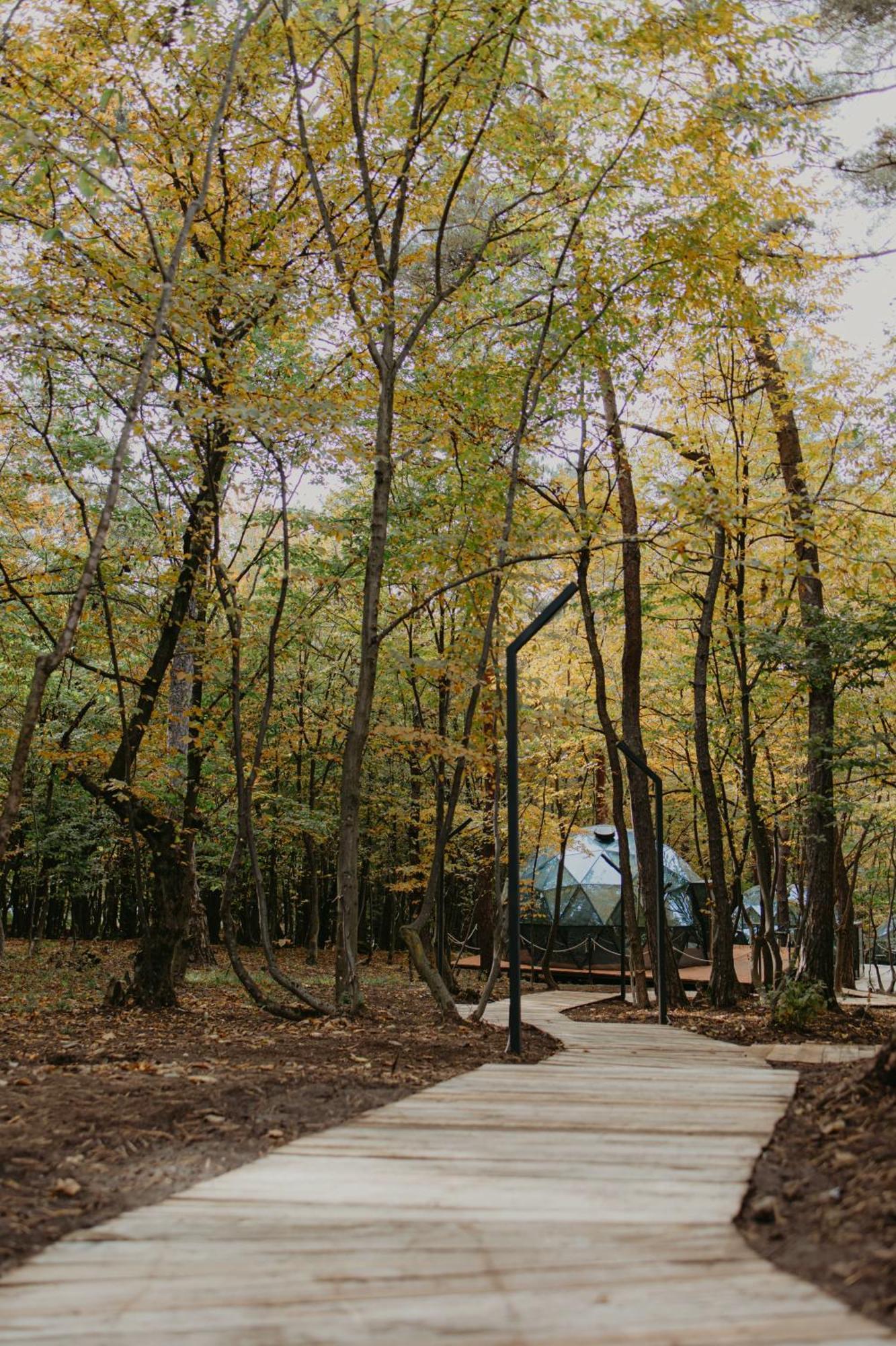 מלון Gyulagarak Dream Park מראה חיצוני תמונה